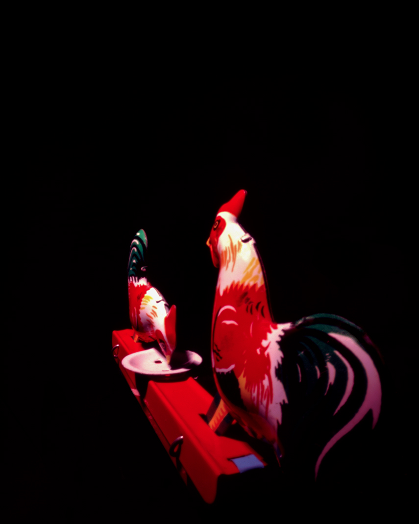 Pinhole color slide film 4x5" Fuji Provia 100F by Israel Caballero