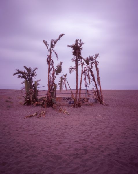 Pinhole color slide film 4x5" Fuji Provia 100F by Israel Caballero